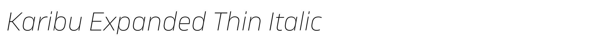 Karibu Expanded Thin Italic image